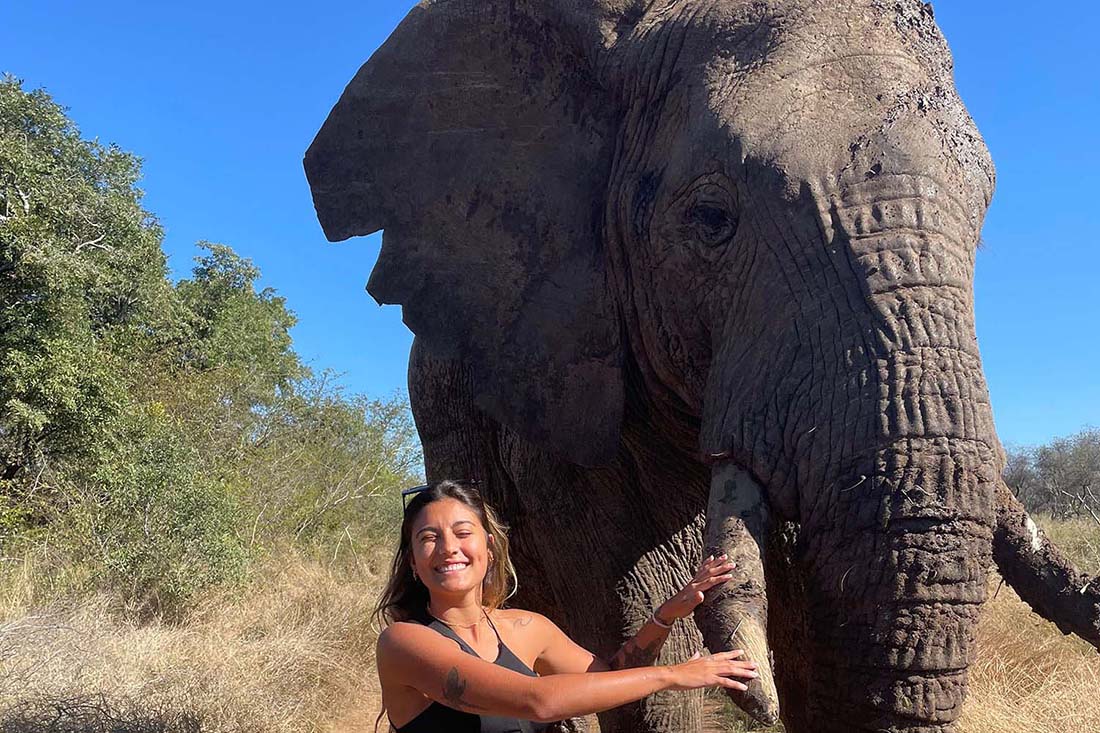 Elephant Experience